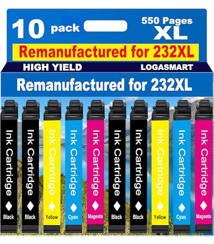 Amazon.com: Epson T232 Black Ink Cartridge, Standard Capacity