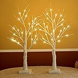 Birch Tree with LED Lights for Christmas