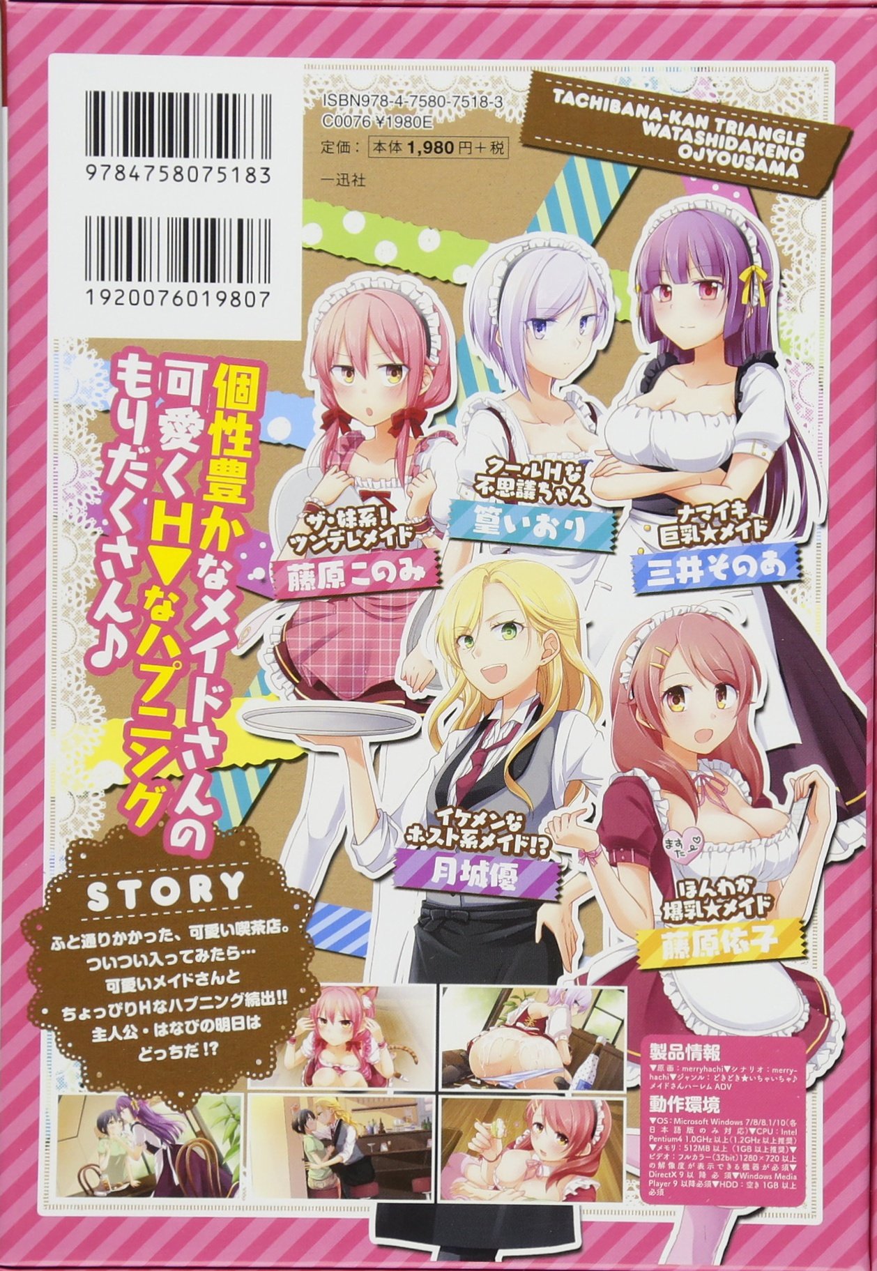 立花館to Lieあんぐる 2 特装版 百合姫コミックス Merryhachi 本 通販 Amazon