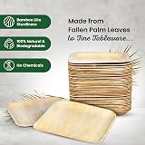 Eco Leaf 25 Disposable Palm Leaf Plates 10in Large Square Oven Safe Eco view 4