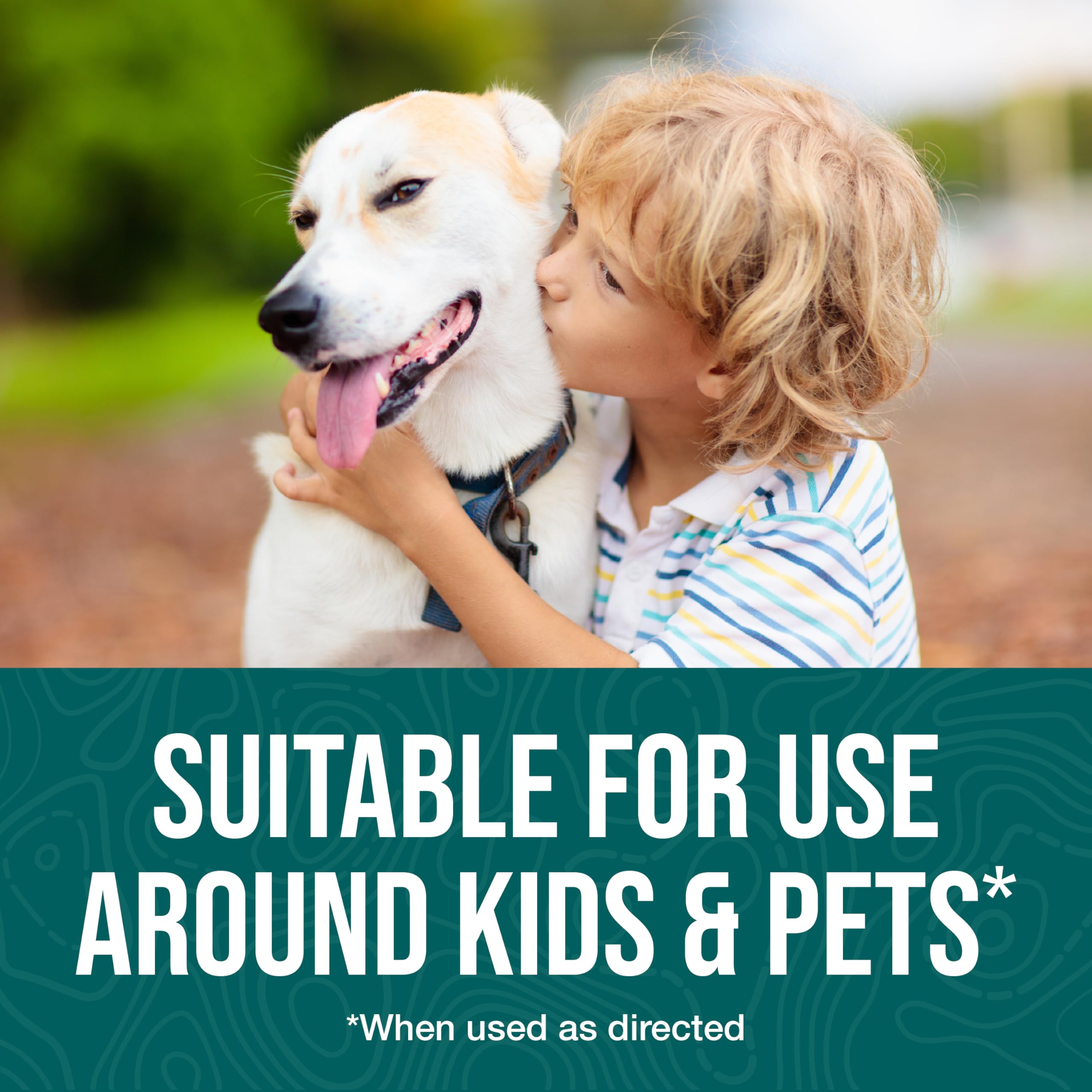 https://images-na.ssl-images-amazon.com/images/I/81ZC-0XfodL.jpg