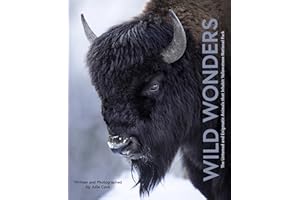 Wild Wonders: The Untamed and Enigmatic Animals that Inhabit Yellowstone National Park