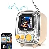 Divoom Tiivoo-2 FM Radio Bluetooth Speaker with