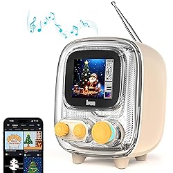Divoom Tiivoo-2 FM Radio Bluetooth Speaker with