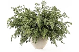 MISSPIN 12 Pcs 21.5 Inches Christmas Cedar Branches, Cedar Artificial Christmas Branches DIY Crafts Faux for Xmas Indoor Outdoor Home Decor