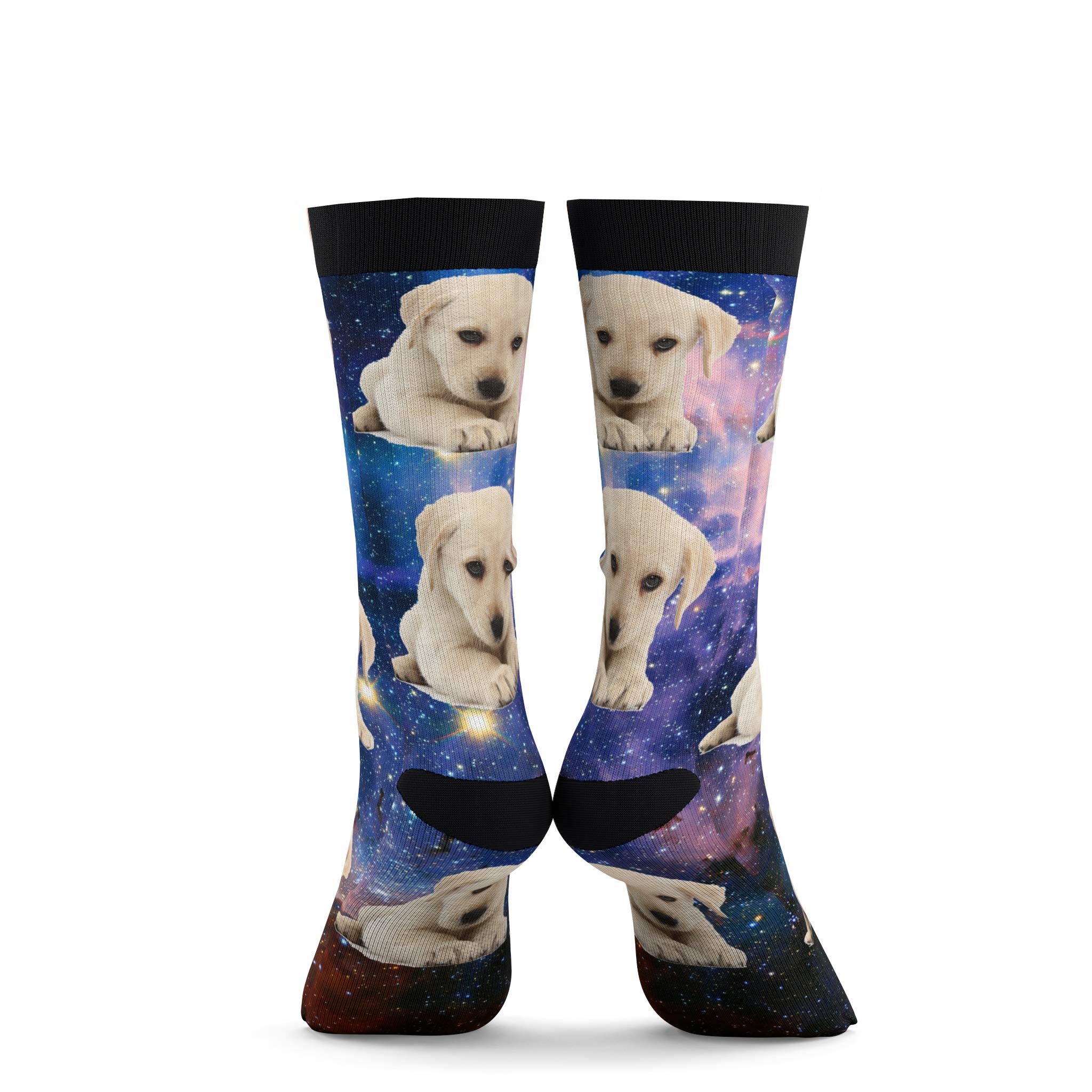 put your pet on socks