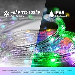 Shine Decor RGB Rope Light Twinkle, Remote Control