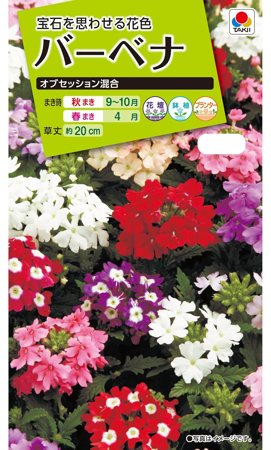 バーベナの花言葉や誕生花 特徴 由来 英名など一挙紹介