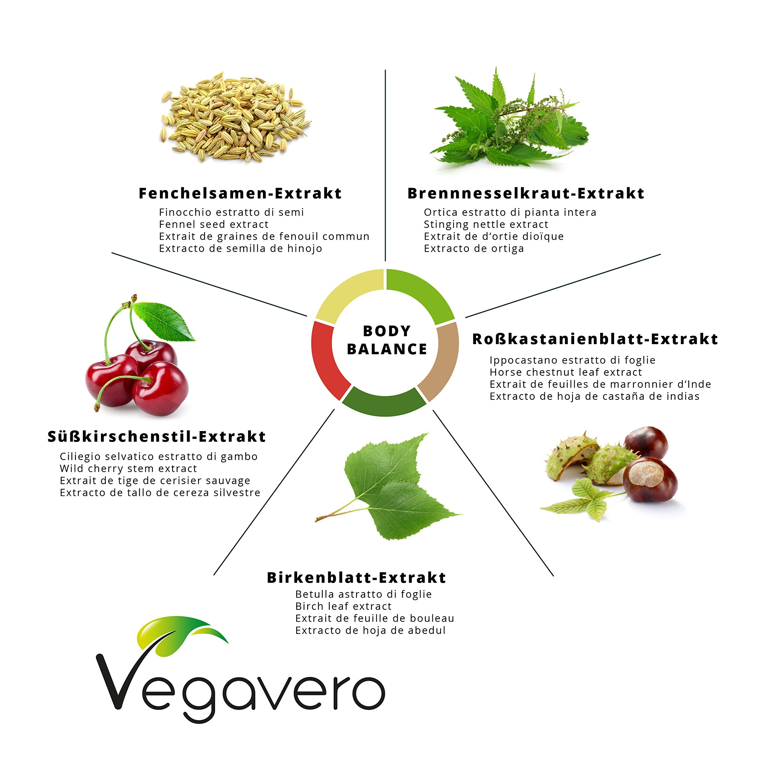 NEW: Body Balance Complex | Natural Diuretic, Digestive, Detox & Cleanse Blend | Prevent Water Retention & Eliminate Toxins | Birch Leaves, Nettle, Fennel Seeds, Chestnut Leaves & Wild Cherry Stems | 120 Capsules | VEGAN by Vegavero