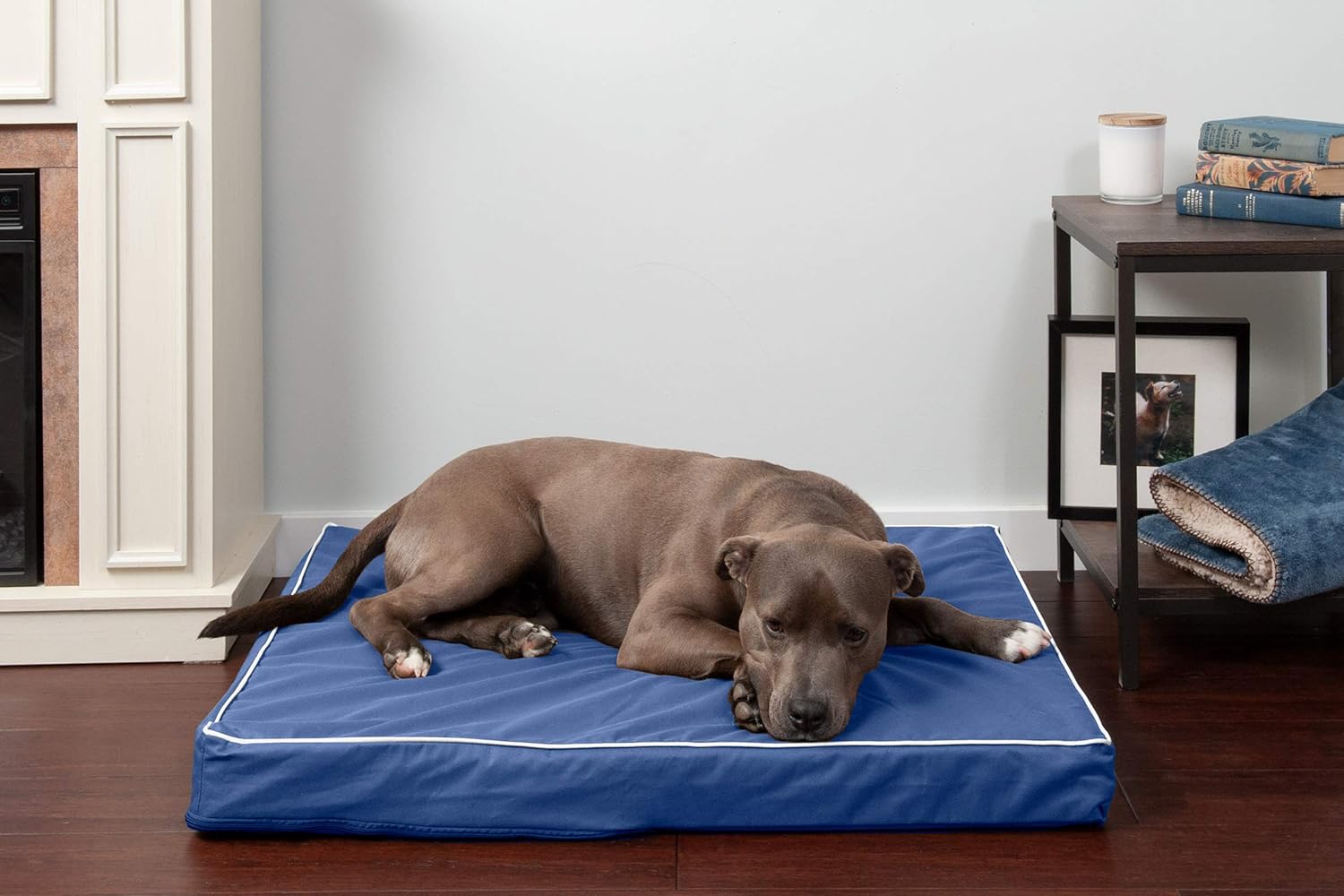 Furhaven Pet Dog Bed - Quilted Pillow Cushion Traditional Sofa-Style Living Room Couch Pet Bed with Removable Cover for Dogs and Cats, Silver Gray, Jumbo : Pet Supplies