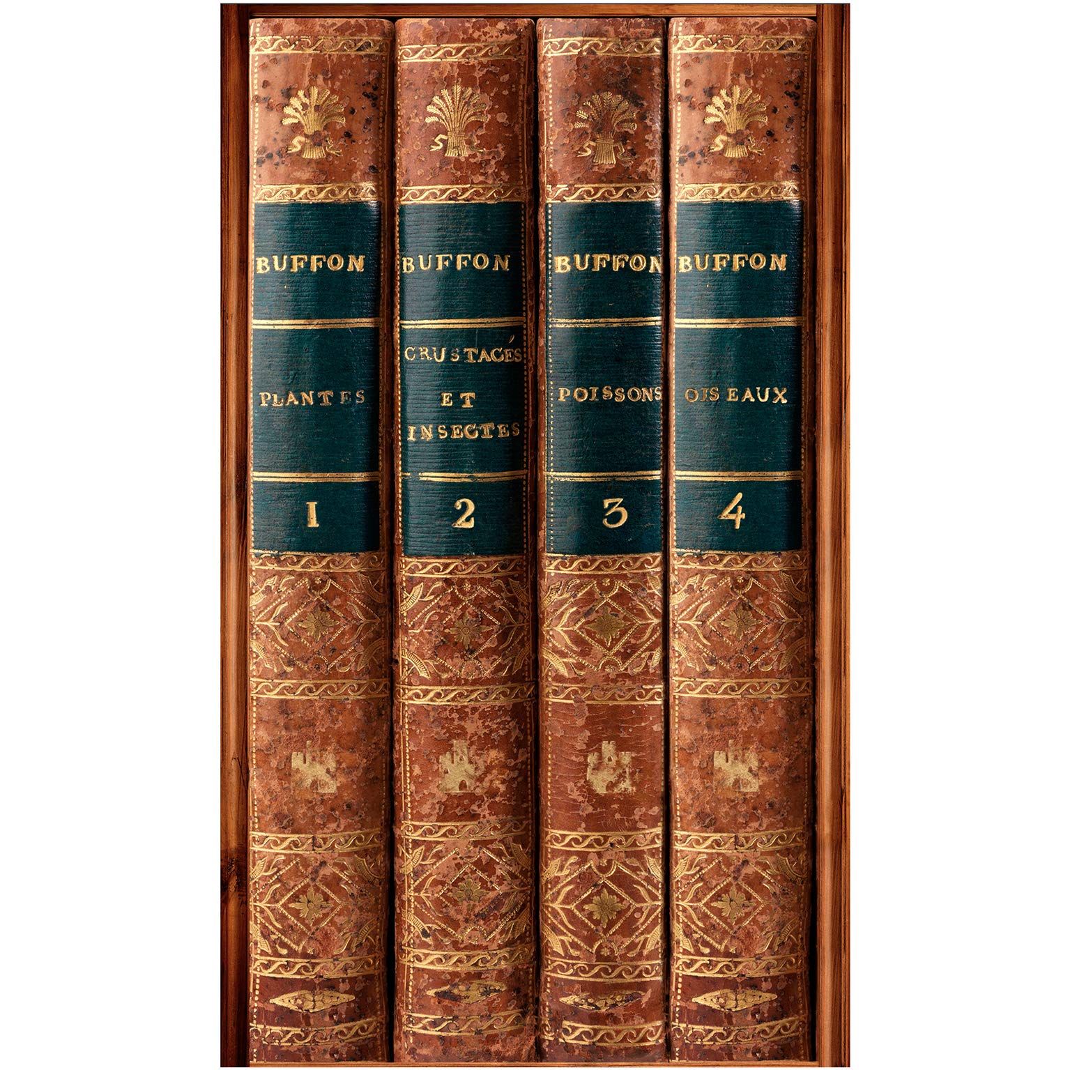 145431 Panoramic Woven Beach – Giant Pleasure Brown, 1.5 x 2.5 m