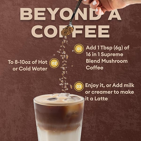 FULLY JOE MUSHROOM INSTANT COFFEE WITH 16 SUPERFOOD MUSHROOMS, INCLUDES LION’S MANE, REISHI, CHAGA, CORDYCEPS MIXED WITH GOURMET ARABICA INSTANT IMMUNE BOOSTING COFFEE FOR FOCUS & GUT HEALTH