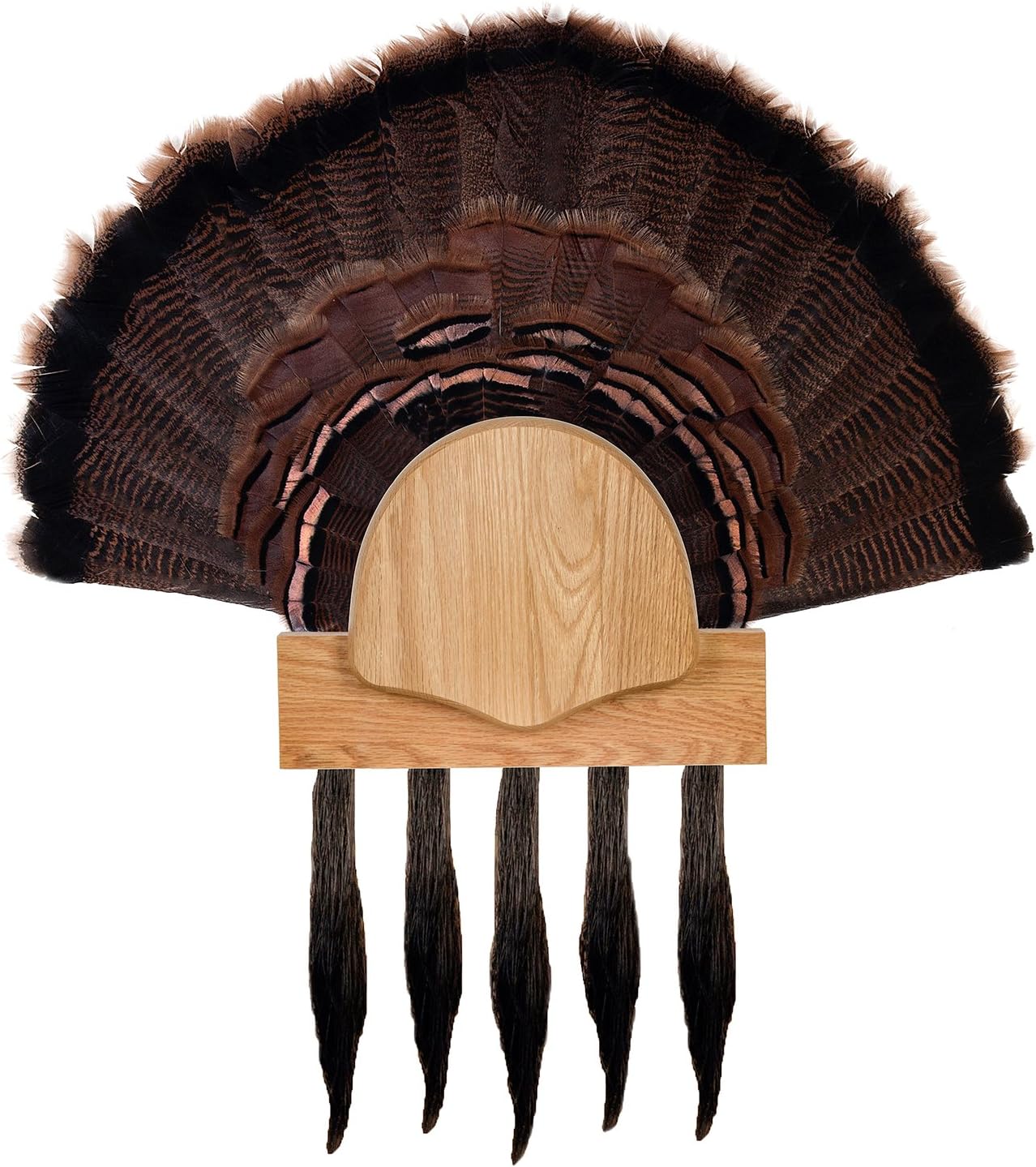 Walnut Hollow Country DIY 5 Beard Turkey Display Kit for Gun & Bow Hunters