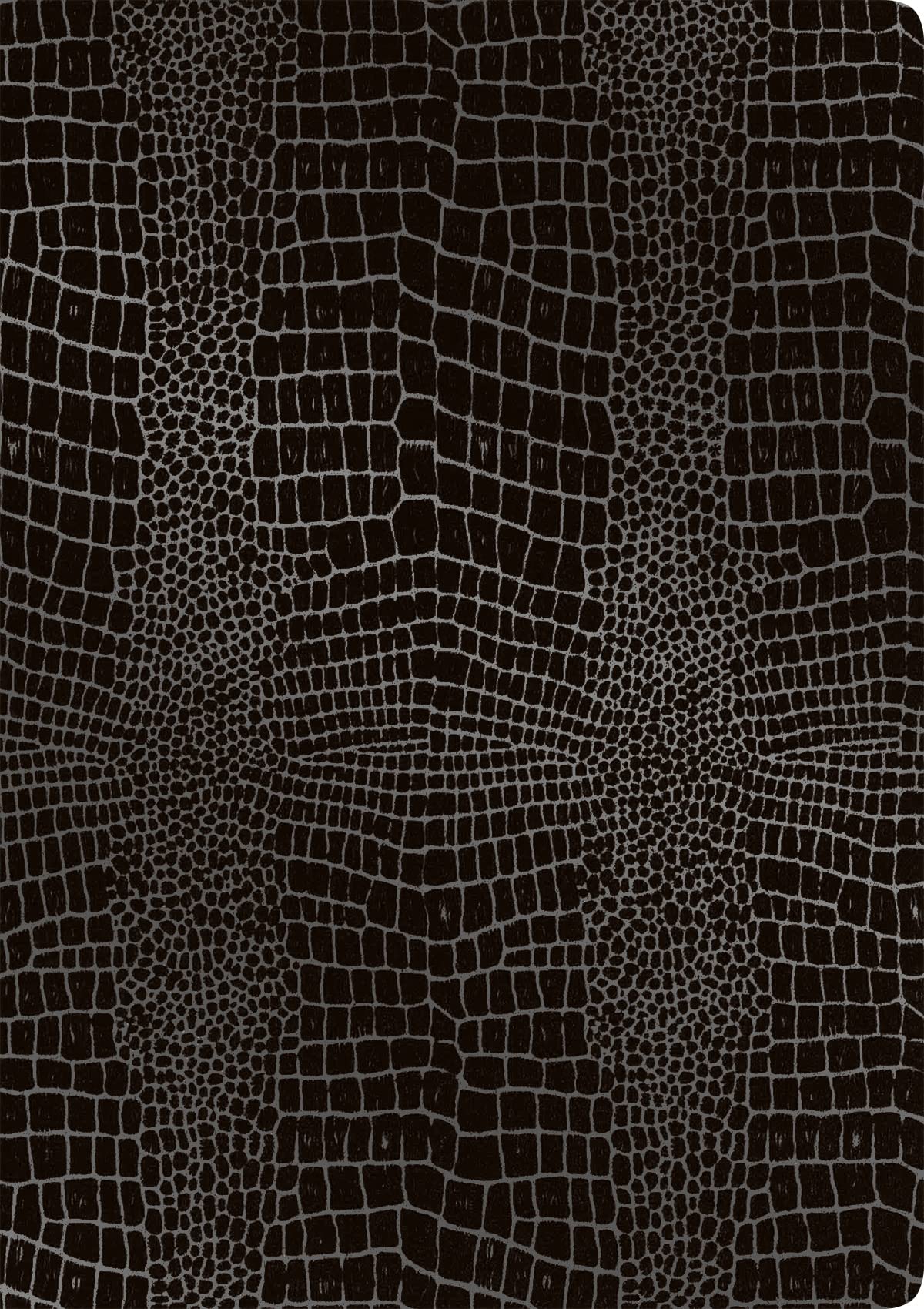 RNK Grace 46217 Elegant Certificate Folder Carbon Black with Two Transparent Pockets Dimensions (W x H): 225 x 310 mm for DIN A4 Pack of 1