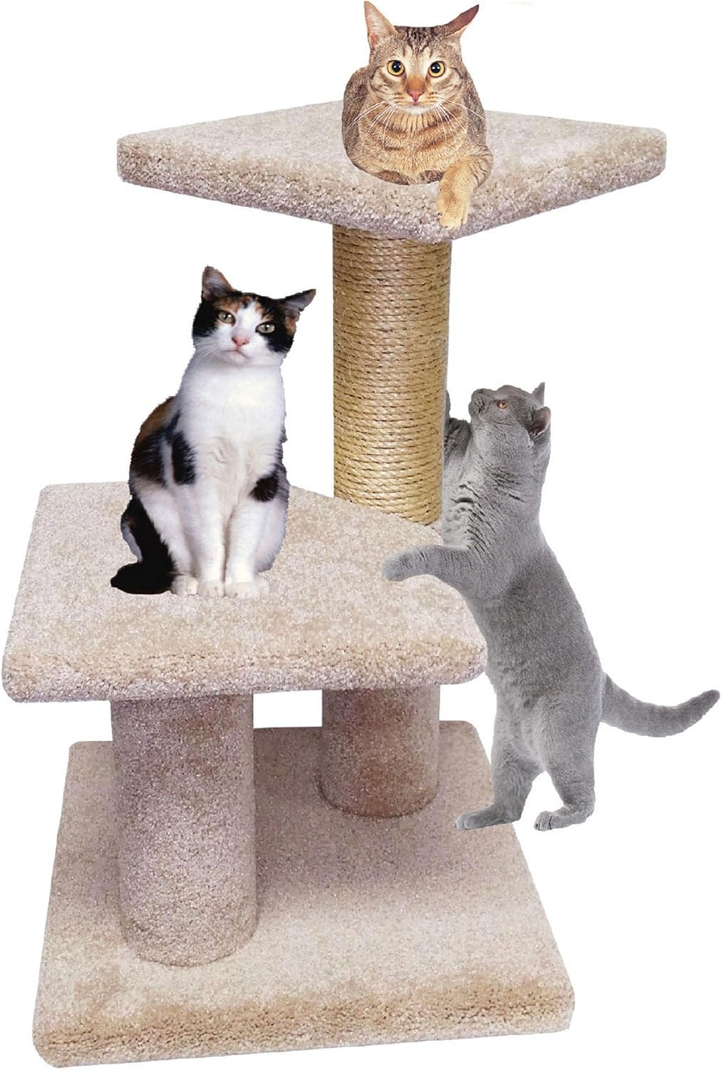 2 tier cat tree