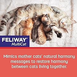 FELIWAY MultiCat Calming Pheromone Diffuser: 1