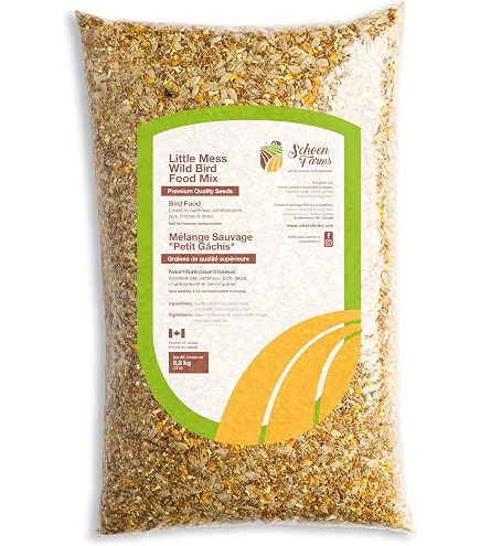 What are Bird Seeds: Ultimate Guide to Types and Benefits