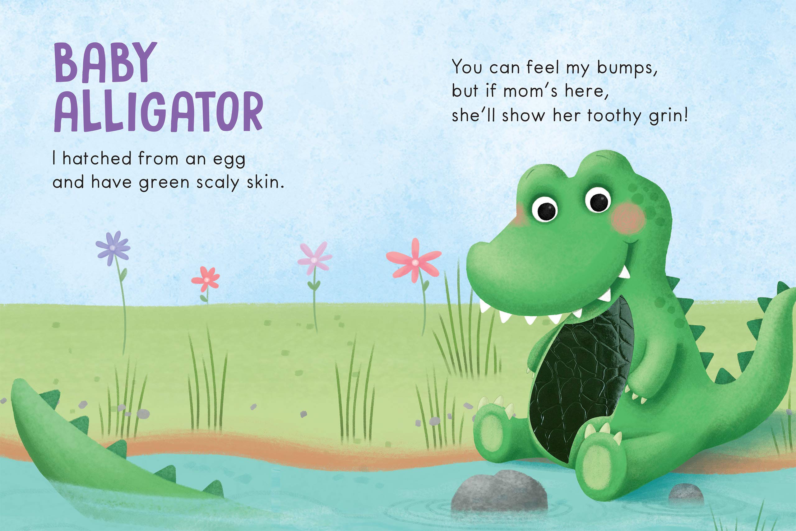 Baby Animals: A Touch and Feel Book - Children's Board Book - Educational