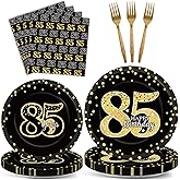 96 Pcs 85th Birthday Party Supplies - Tableware Plates, Cheers to 85 Years Table Decorations, Dinnerware, Happy 85th Birthday Party Favor for 24 Guests