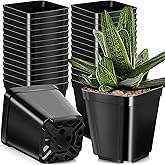 Yinder 250 Pcs 4 Inch Square Nursery Pots, Seedling Pots with Drainage Holes PP Plastic, Plant Planting Planters for Garden Outdoor Indoor Flower Succulent Vegetable Starting Seedlings, Black