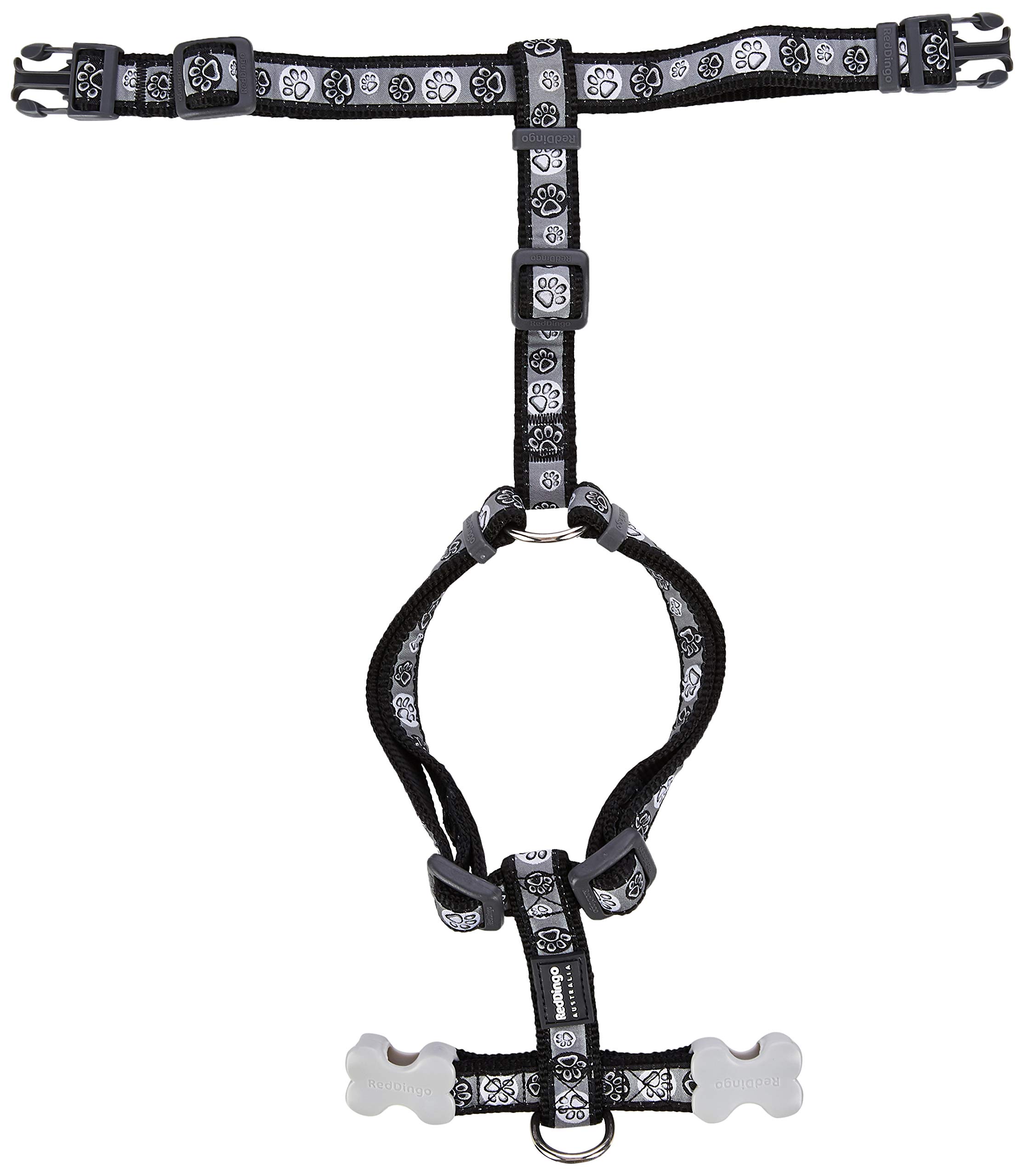 Red Dingo - Petral Style