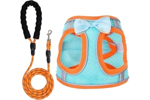 WOCUME Dog Harness with Leash Set, Step-in Breathable Puppy Cat Dog Vest Harnesses, No Pull Adjustable Reflective Puppy Harness with Soft Padded Vest for Extra-Small/Small Medium Large Dogs and Cats