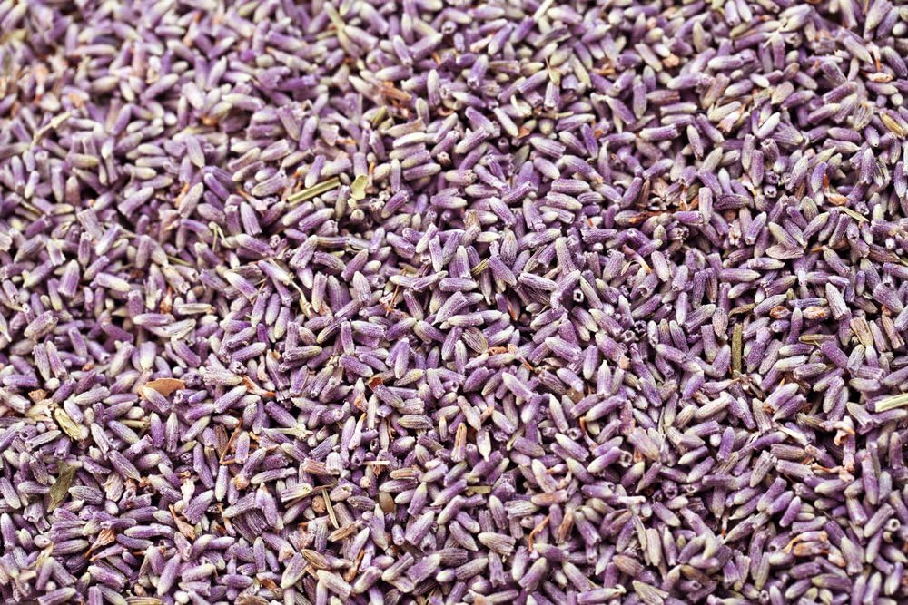 Lavender Flowers (Organic) 2 oz