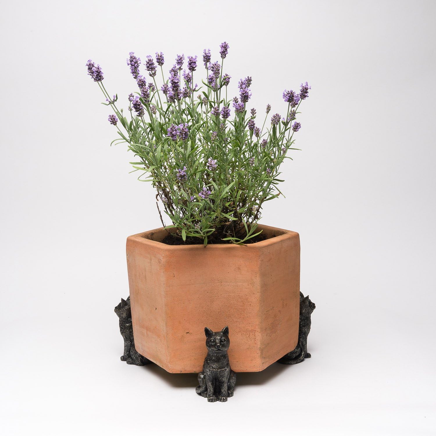 Potty Feet Sitting Cat Figures Plant Pot Feet - Planter Support - Handmade Decorative Ornaments - 3pcs, Bronze - Image 4