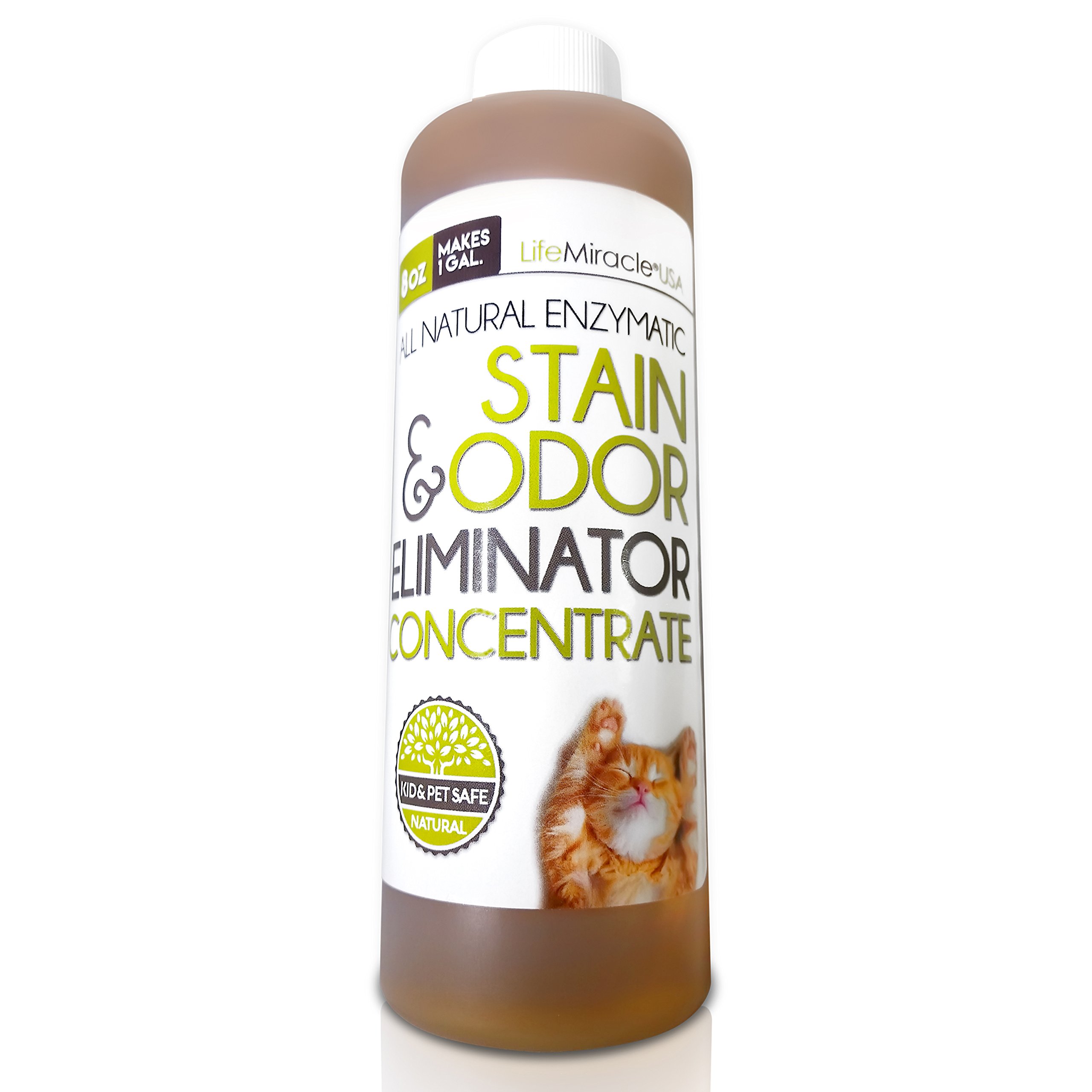 Enzyme Cleaner CONCENTRATE. Safe, All Natural Carpet Cleaning and