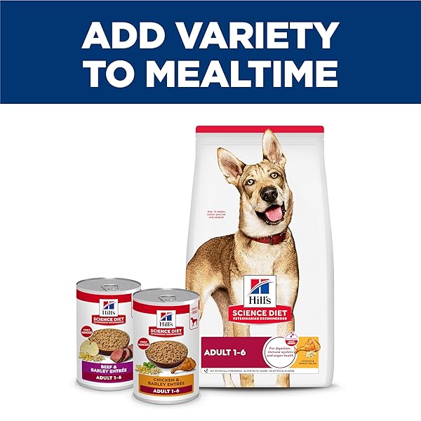 HILL’S SCIENCE DIET ADULT 1-6 WET DOG FOOD, CHICKEN & BEEF, 13 OZ. CANS, 12-PACK