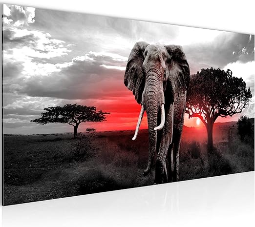 Bilder Afrika Elefant Wandbild Vlies Leinwand Bild Xxl Format Wandbilder Wohnzimmer Wohnung Deko Kunstdrucke Rot Grau 1 Teilig Made In Germany Fertig Zum Aufhangen 001212b Amazon De Baumarkt