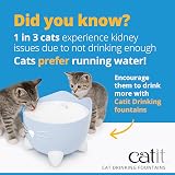 Catit PIXI Drinking Fountain for Cats White with Triple Action Carbon Filter view 7