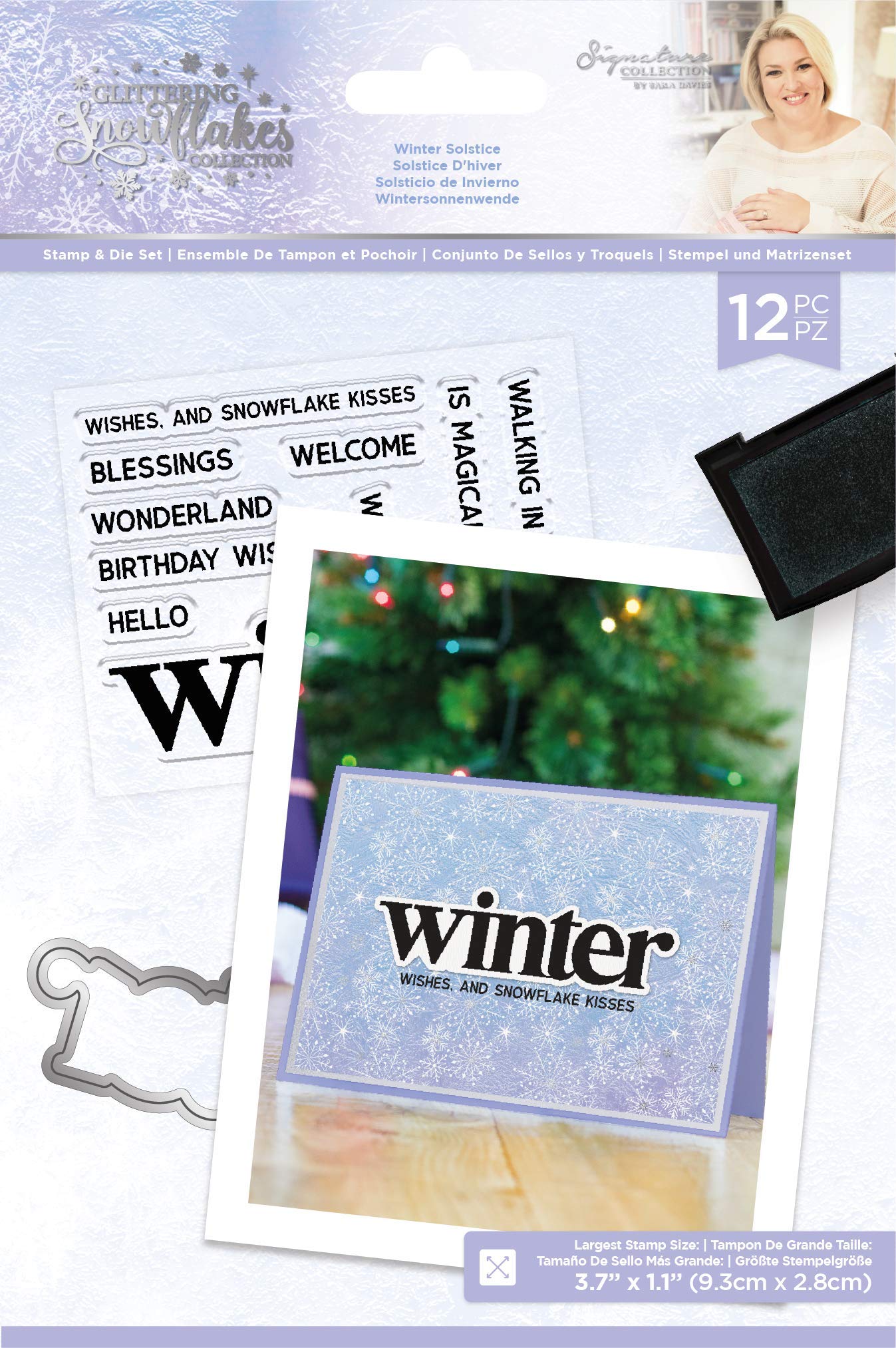 Sara Signature Glittering Snowflakes Collection-Stamp & Die-Winter Solstice, Silver, one Size