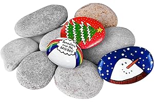 DOJOBKINB River Rocks for Painting 10 Pcs Large 2-3 Inch Flat Smooth Painting Stones Craft Rock to Paint for Kids Crafts Painting Bulk