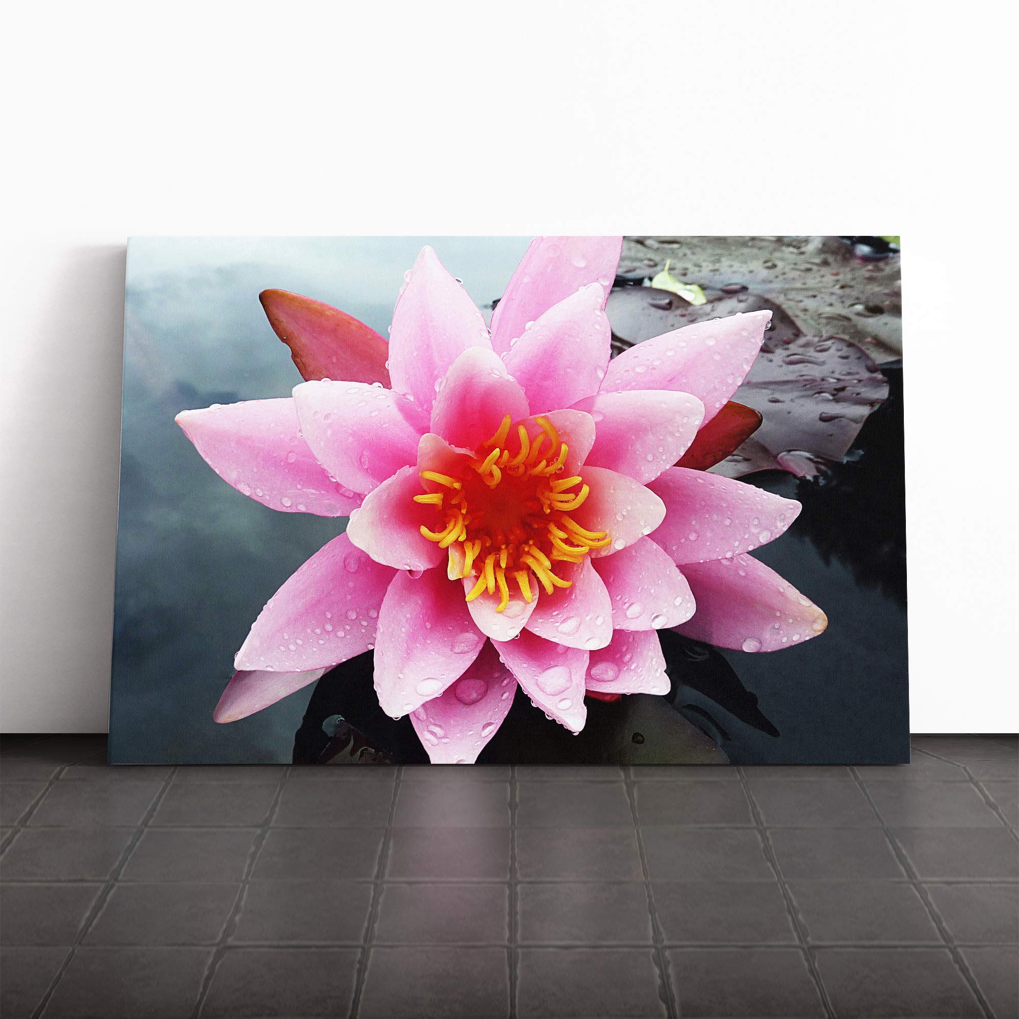 Flower Pink Water Lily (5) Canvas Print | Gallery Wrapped 30mm Frame Wall Art | 20x14 inches | Ready to Hang | Modern Floral Picture | Living Room Bedroom Lounge Office