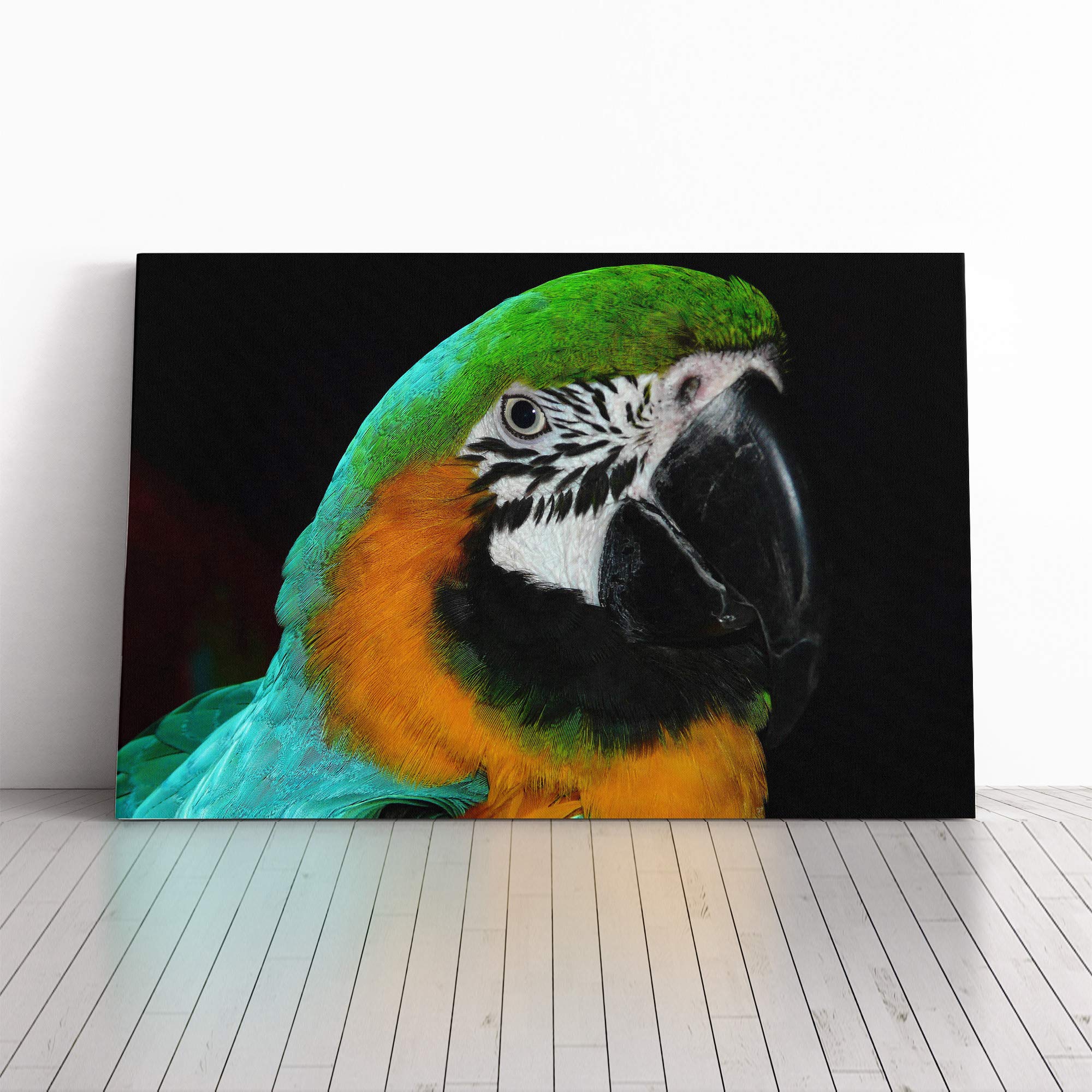 Parrot Bird (1) Canvas Print | Gallery Wrapped 30mm Frame Wall Art | 20x14 inches | Ready to Hang | Modern Animals Picture | Living Room Bedroom Lounge Office