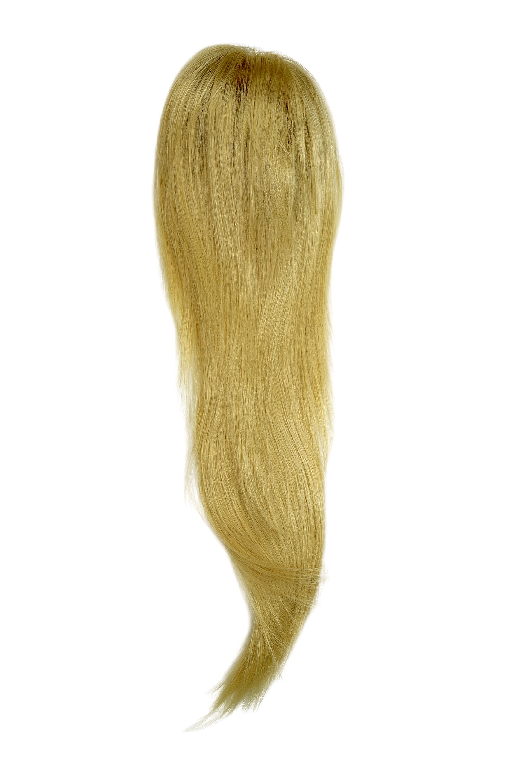 WIG ME UP WK06-202 Hairpiece ponytail with micro clamp, combs and elastic draw string straight voluminous very long golden light blond 23inch