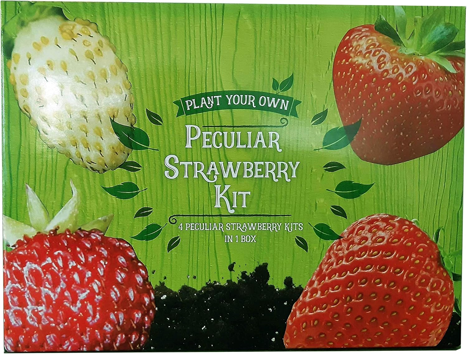 Padgett Bros Peculiar Strawberry Kit Multi 82015