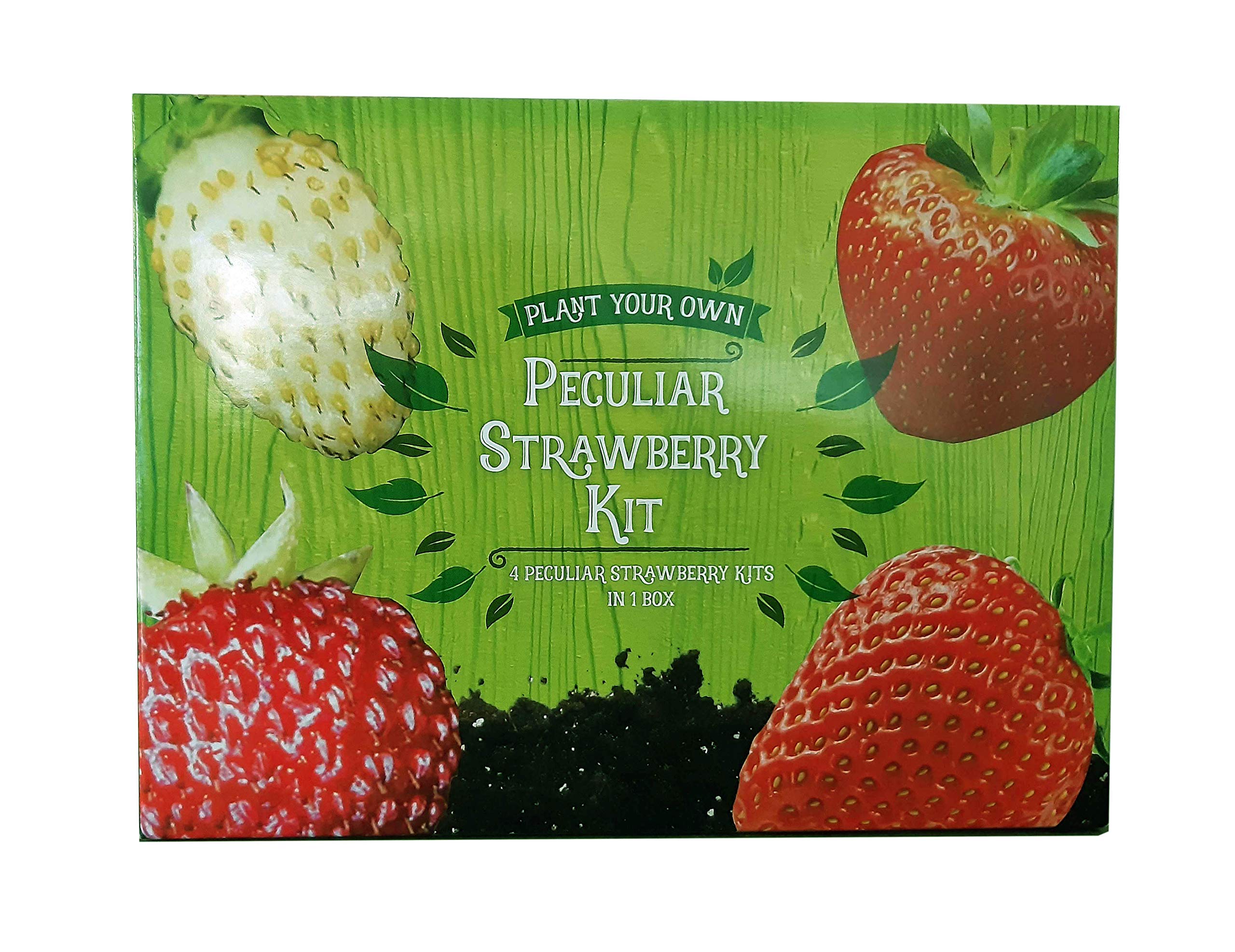 Padgett Bros Peculiar Strawberry Kit Multi 82015