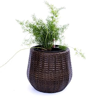 Elegant Einrichten Pflanzkübel Polyrattan D35xH32cm Mocca