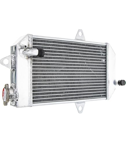 Banshee Oil Seal Kit Crankcase Stator Flywheel Starter Cover Seal Rubber Armenia Banshee Seat Rubber