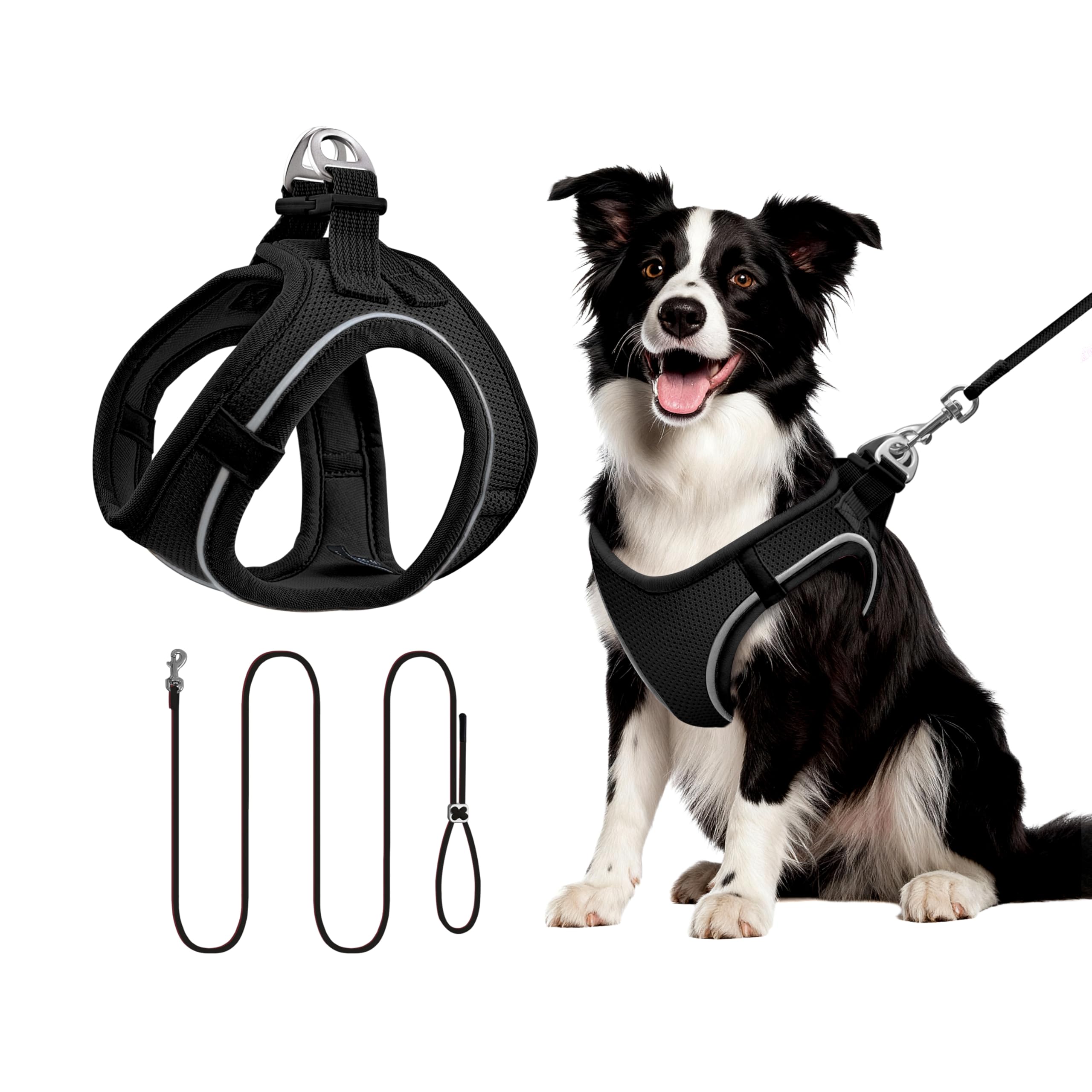 Qianruida Harness and Leash for Cat or Puppy - Adjustable Set in Soft Nylon, Secure Comfort for Walking, Training, Outdoor, Small Animals, Easy to Put On and Take Off, Black, L