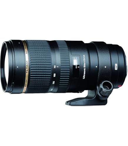 Amazon.com : Tamron SP 70-200MM F/2.8 DI VC USD Telephoto Zoom