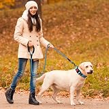 haapaw Reflective Padded Dog Collar with Neoprene Breathable Nylon Lead Included view 6