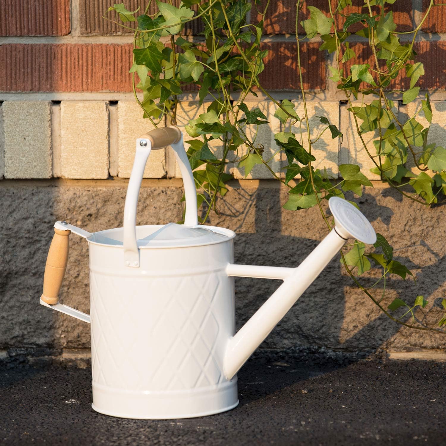 HORTICAN Galvanized Watering Can Modern Style Watering Pot with Handle and Rosehead for Outdoor and Indoor House Plants (1 gal/White) : Garden & Outdoor