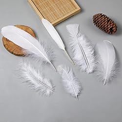 Larryhot White Craft Feathers Bulk - 240pcs 6 Style