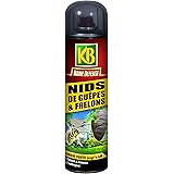 Kb guêpes frelons