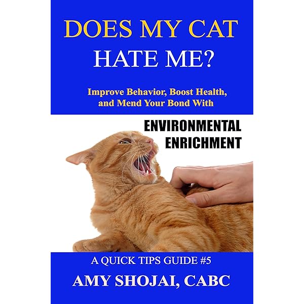 Does My Cat Hate Me? Improve Behavior, Boost Health, Mend Your Bond With Environmental