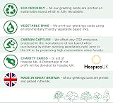 Absolutely Yours Charity Christmas Cards 24 Pack 4 Robin Designs 150x150mm view 8