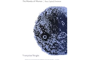 The Wombs of Women: Race, Capital, Feminism (Theory in Forms)